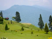 List Hotels, Lodges & Guest Houses Across India on PuneAssociate.in